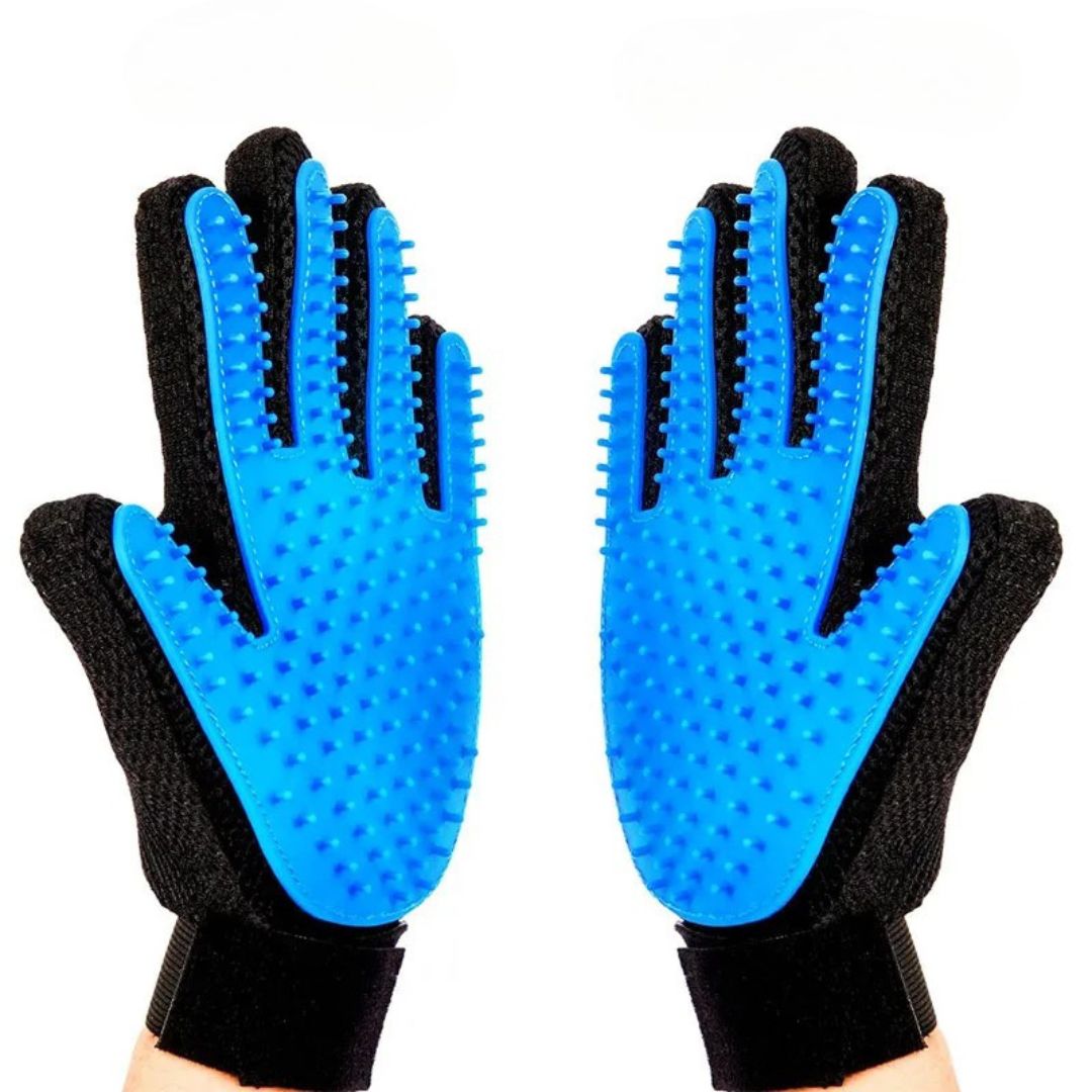 Glove brush
