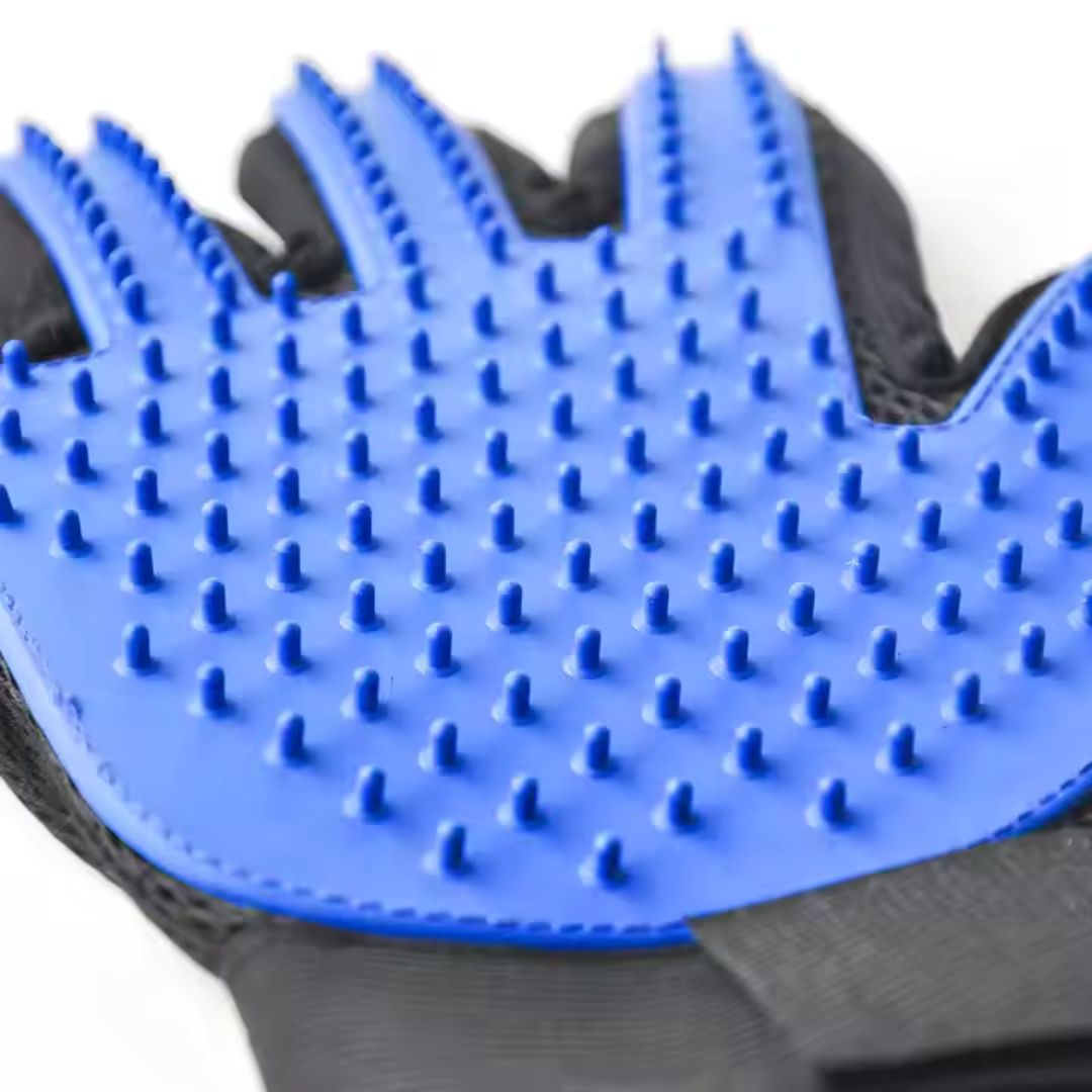 Glove brush
